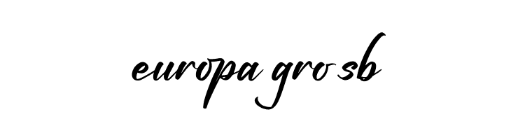 Fighterland Script  Free Fonts Download