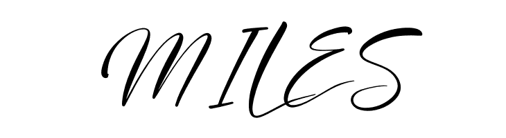 Blendstera  Free Fonts Download