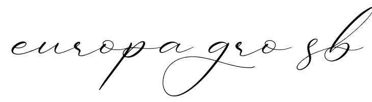 Ladyday  Free Fonts Download