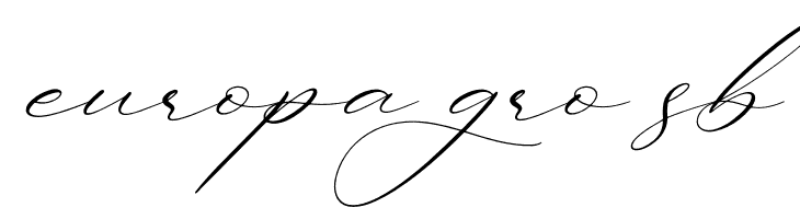 Ladyday Italic  Free Fonts Download