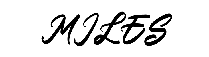 Amsterdam Lentteria Italic  Free Fonts Download