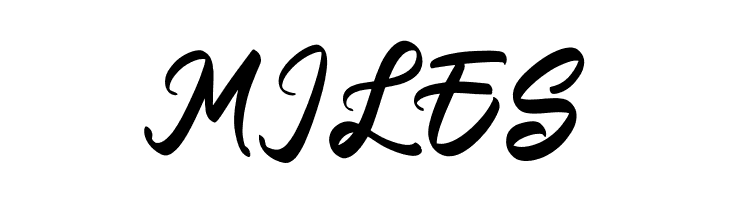 Amsterdam Lentteria  Free Fonts Download