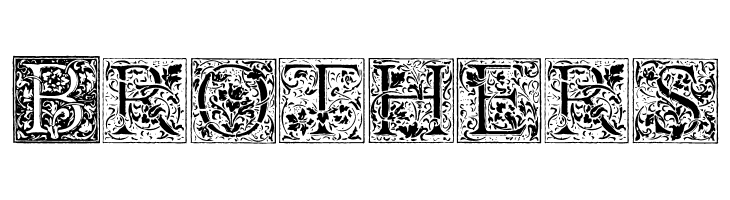 Florana_Initials  Free Fonts Download