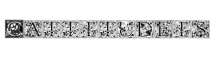 Florana_Initials  Free Fonts Download