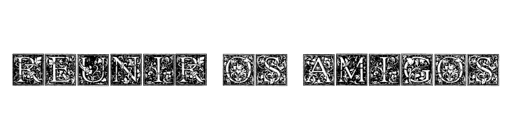 Florana_Initials  Free Fonts Download