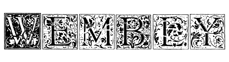 Florana_Initials  Free Fonts Download
