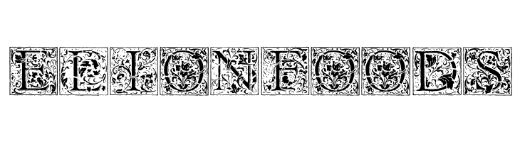 Florana_Initials  Free Fonts Download