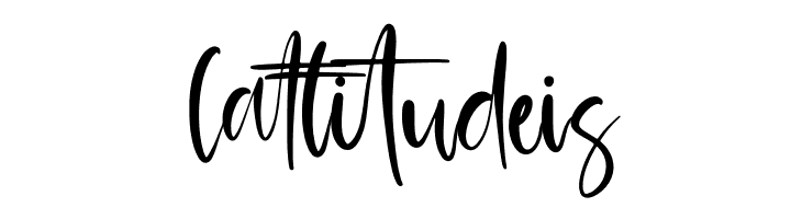 Amsterdam Morning  Free Fonts Download