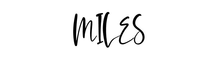 Amsterdam Morning  Free Fonts Download