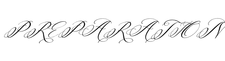 Berlishanty Calligraphy Italic  Free Fonts Download