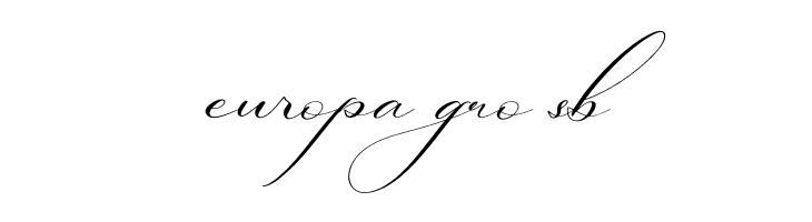 Berlishanty Calligraphy  Free Fonts Download