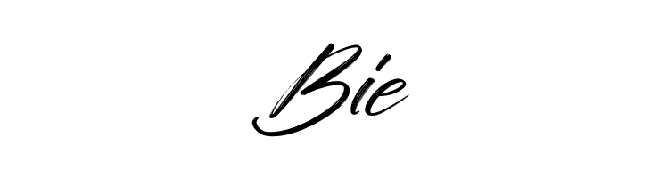 Sunday Freedom Italic  Free Fonts Download