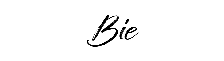Sunday Freedom  Free Fonts Download