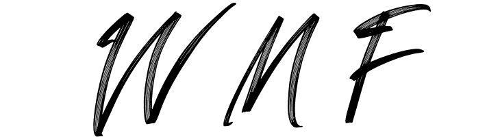 Sandershon  Free Fonts Download