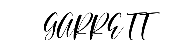 Beauty Brand Italic  Free Fonts Download