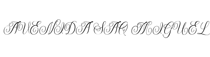 ShintosaScript  Free Fonts Download