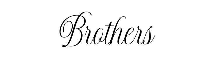 ShintosaScript  Free Fonts Download