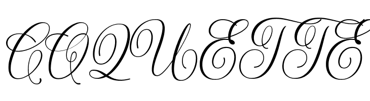 ShintosaScript  Free Fonts Download