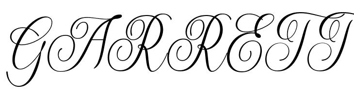 ShintosaScript  Free Fonts Download