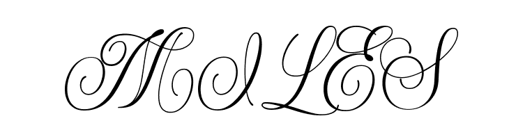 ShintosaScript  Free Fonts Download