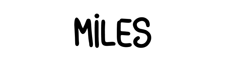 Amrica Seriket  Free Fonts Download