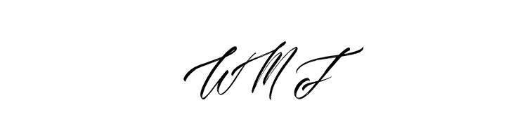 Antartika  Free Fonts Download