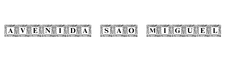 DSInitials Normal  Free Fonts Download