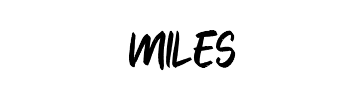 Blankers  Free Fonts Download