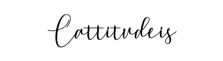 Achange  Free Fonts Download