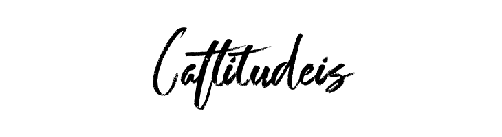 Shutter  Free Fonts Download