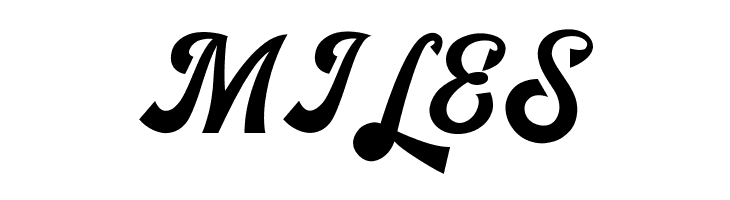 Bigfun Demo  Free Fonts Download