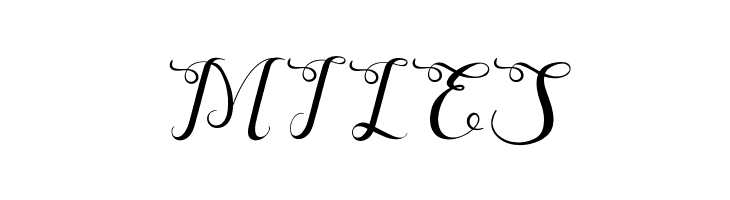 Quentara  Free Fonts Download