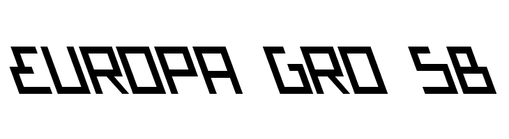 Bionic Type Slant  Free Fonts Download
