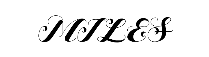 Bigdot Freeversion  Free Fonts Download