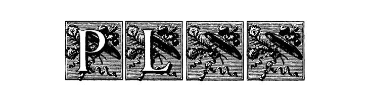 PompadourInitials  Free Fonts Download