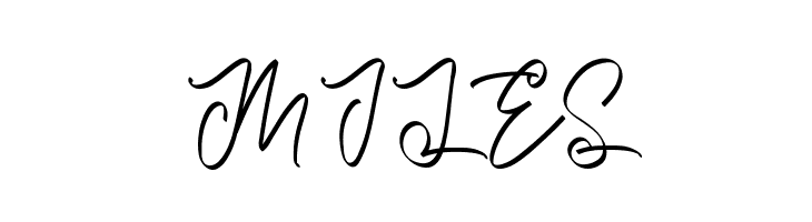 Bright Hoston  Free Fonts Download