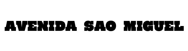 Ryno Slab [Demo]  Free Fonts Download