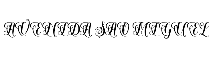 SolidaritasScript  Free Fonts Download