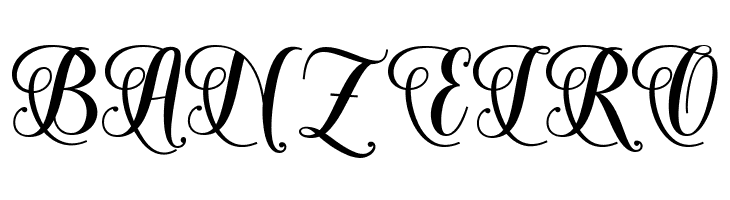 SolidaritasScript  Free Fonts Download