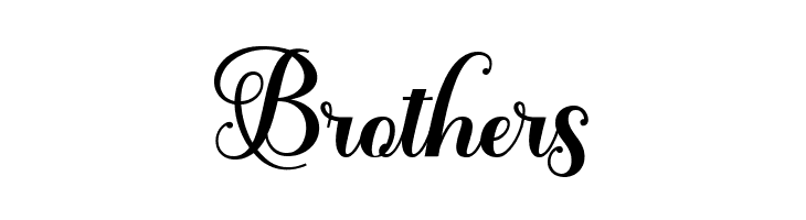 SolidaritasScript  Free Fonts Download