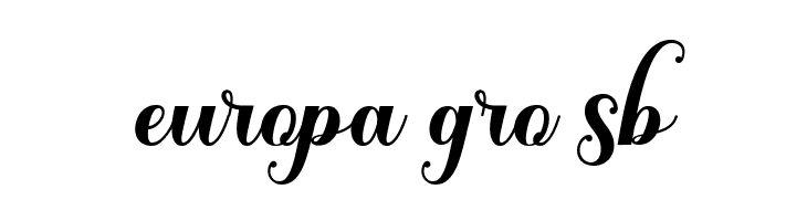 SolidaritasScript  Free Fonts Download