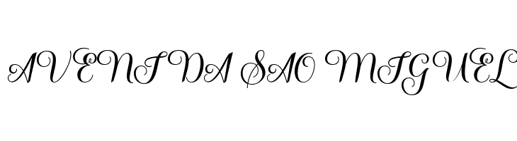 SalsadilaScript  Free Fonts Download