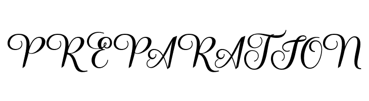 SalsadilaScript  Free Fonts Download