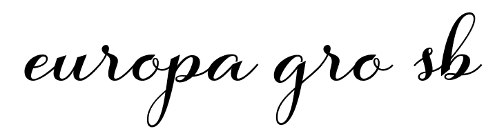 SalsadilaScript  Free Fonts Download