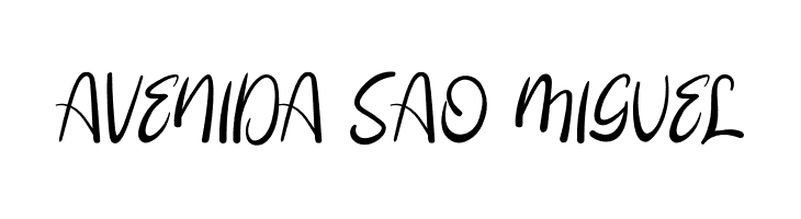 Booncyfly  Free Fonts Download