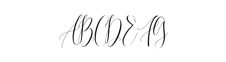 Hafidzah Demo  Free Fonts Download