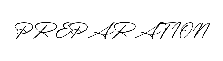 Messy Nessy Script 1  Free Fonts Download