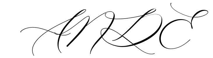 Raja Ampat Script  Free Fonts Download