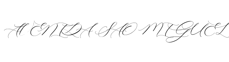 Raja Ampat Script  Free Fonts Download