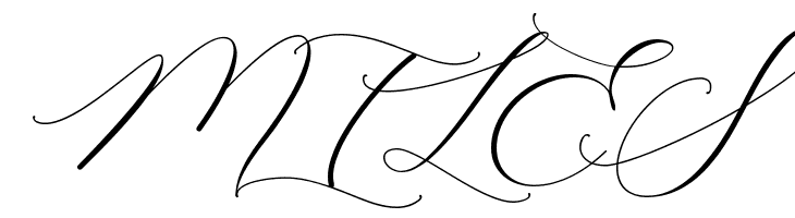 Raja Ampat Script  Free Fonts Download